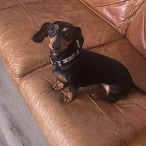 Meet your Posher, Mimi